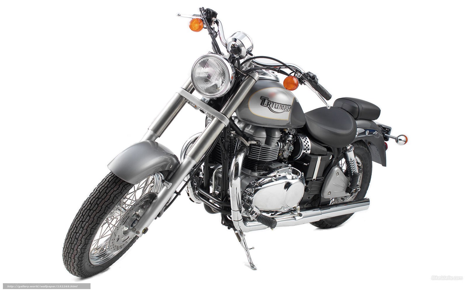 Triumph motorcycle studio shot