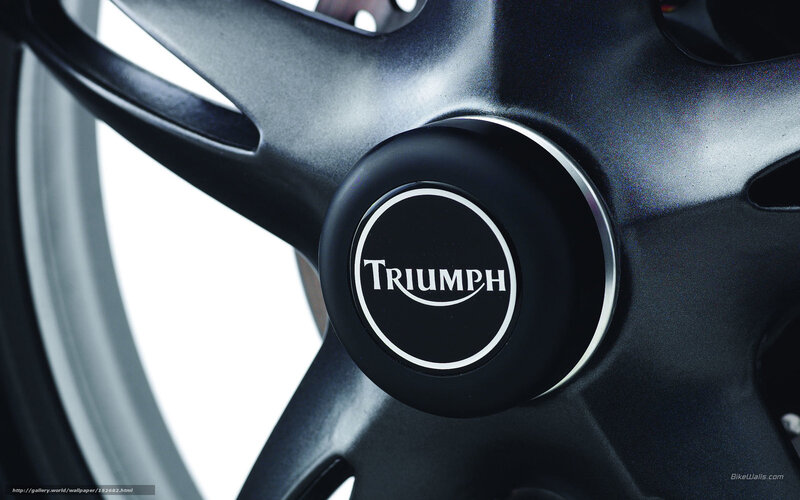 Triumph Motorcycle Wheel — Black