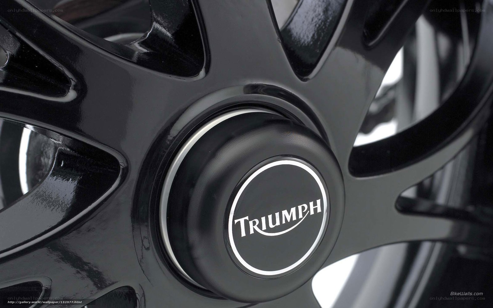 Triumph motorcycle wheel