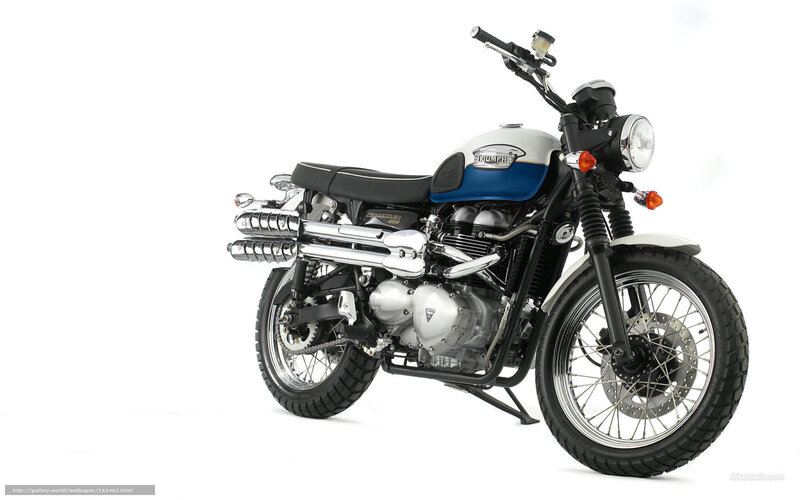 Triumph Scrambler Motorcycle — White, Neutral, Photograph, Seat, Exhaust