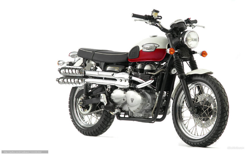 Triumph Scrambler Motorcycle — White, Neutral