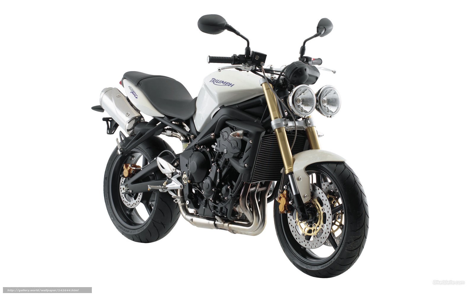 Triumph Speed Triple motorcycle