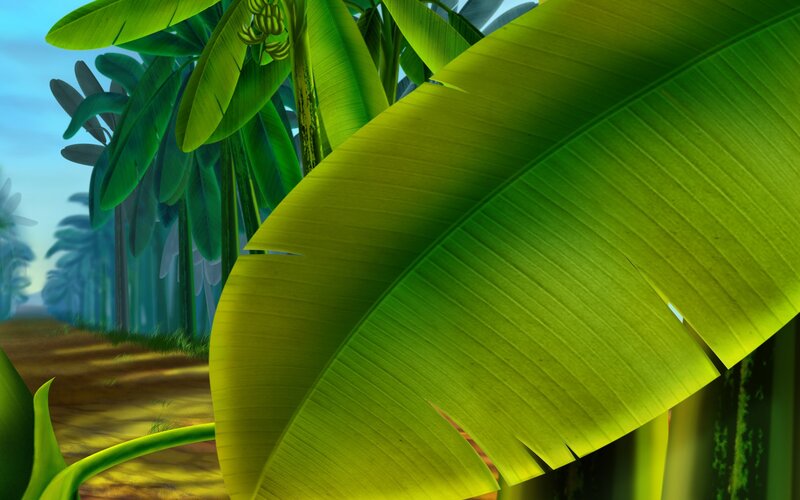 tropical banana leaf path
