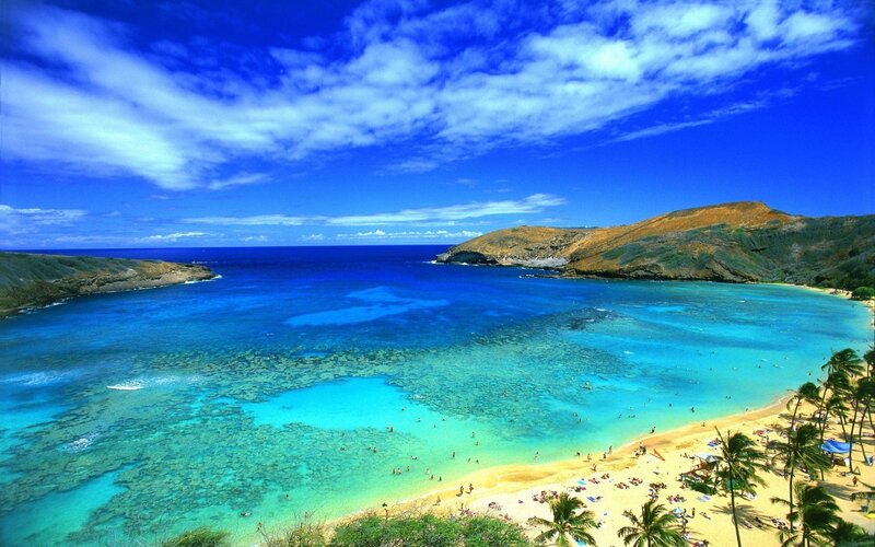 Tropical Bay with Beach — Blue, Serene, Afternoon, Photograph, Palm Trees, Ocean