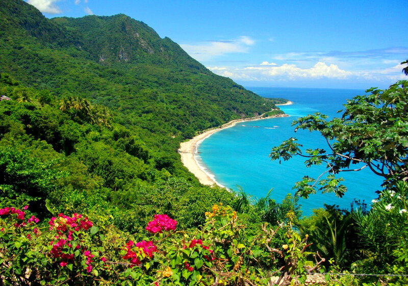 Tropical Bay with Beach — Green