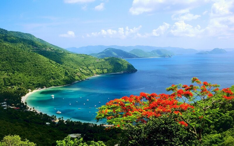 Tropical Bay with Boats — Blue, Serene, Afternoon, Photograph, Green Hills, Red Flowers, Sailboats, Green, Red
