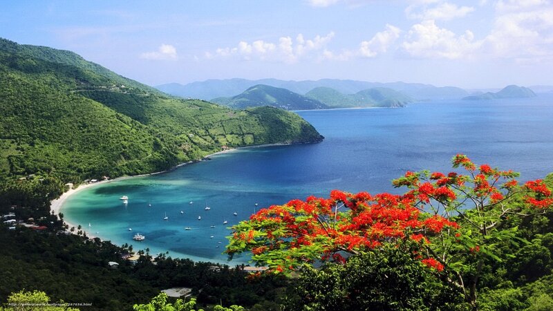 Tropical Bay with Boats — Blue, Serene, Afternoon, Photograph, Green Hills, Red Flowers, Sailboats