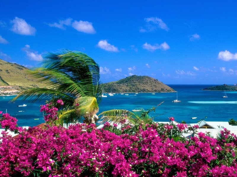 Tropical Bay with Boats — Blue, Serene, Afternoon, Photograph, Palm Tree