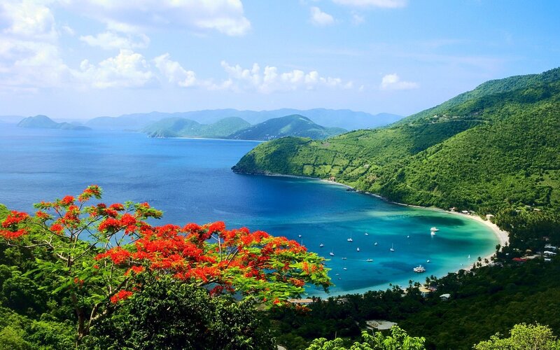 Tropical Bay with Boats — Blue, Serene, Afternoon, Photograph, Trees