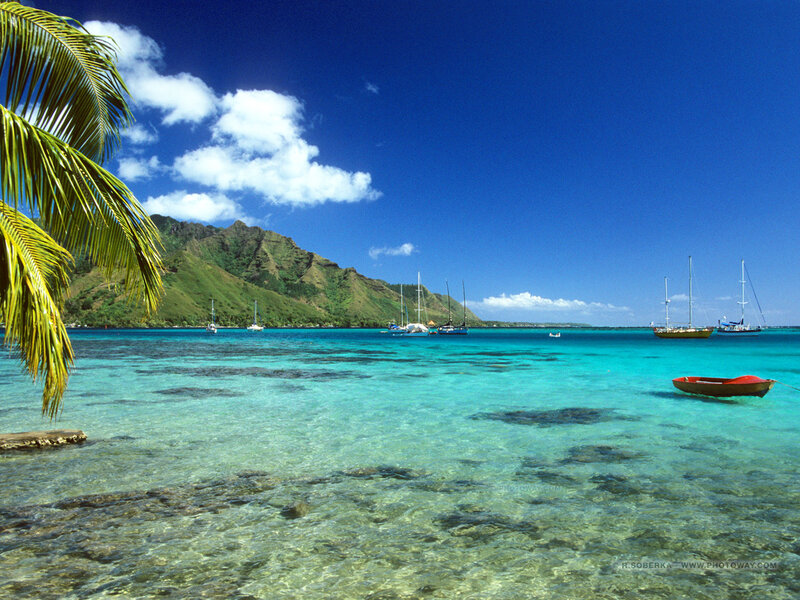 Tropical Bay with Boats — Blue, Serene