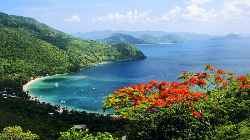 Tropical Bay with Boats — Green, Serene, Afternoon, Photograph