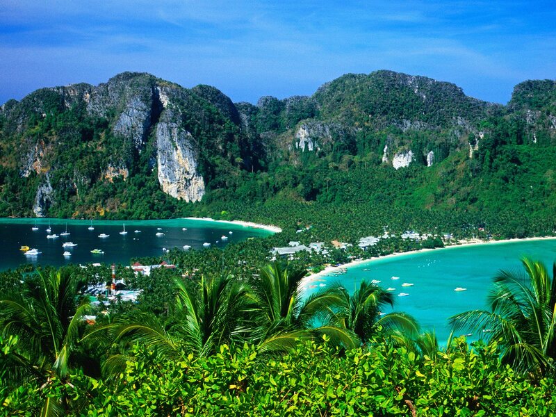 Tropical Bay with Boats — Green