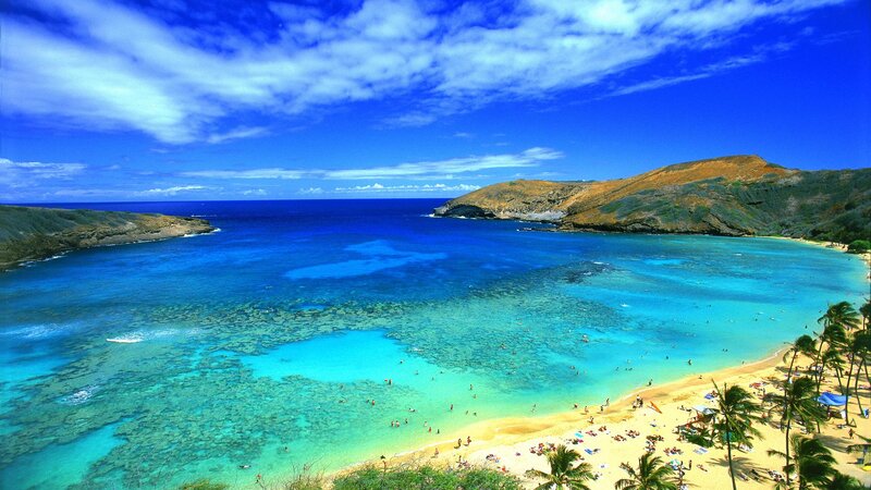 Tropical Bay with Coral Reef — Blue, Serene