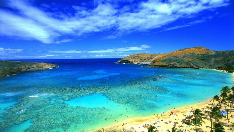 Tropical Bay with Coral Reef — Blue