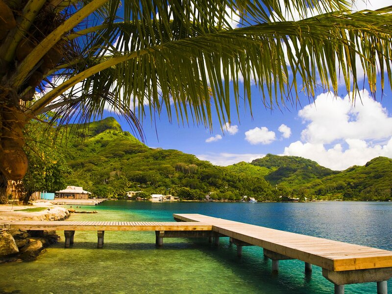Tropical Bay with Dock — Blue