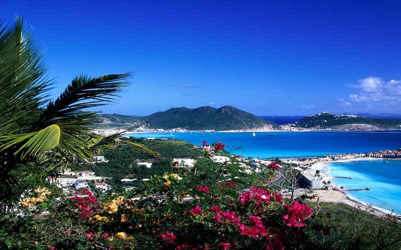 Tropical Bay with Flowers — Blue, Serene, Afternoon
