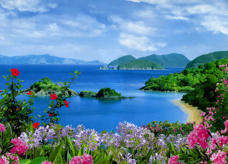 Tropical Bay with Flowers — Blue