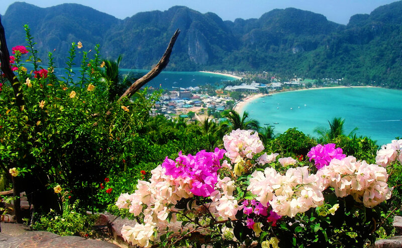 Tropical Bay with Flowers — Pink