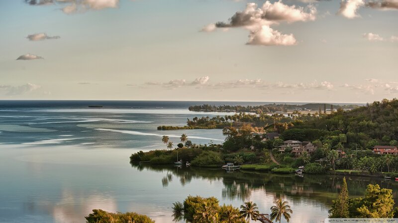 Tropical Bay with Houses — Blue