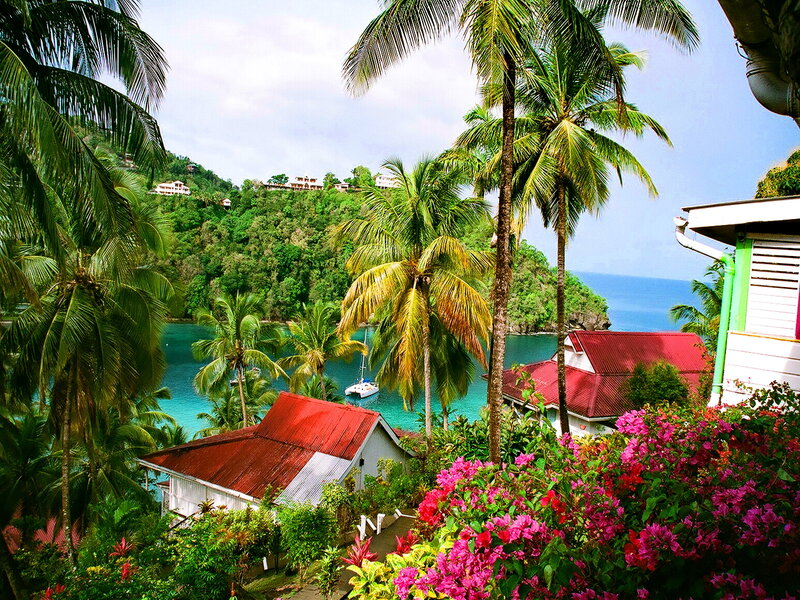 Tropical Bay with Houses — Green