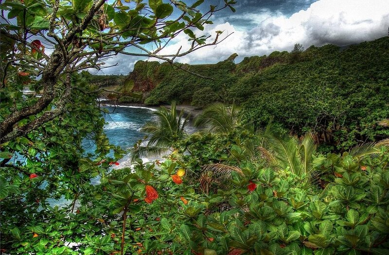 tropical bay with lush foliage