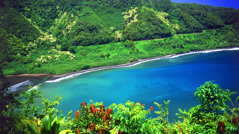 tropical bay with lush green hills