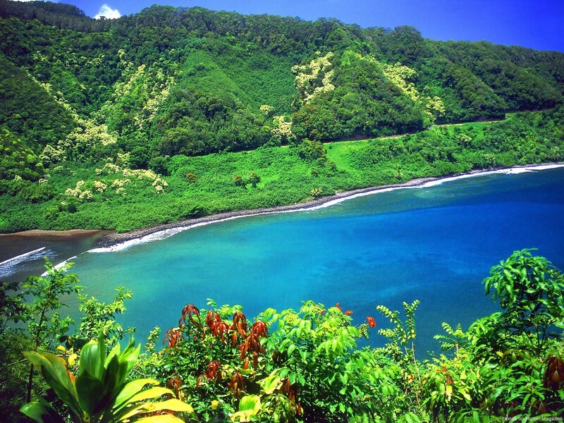 tropical bay with lush green hills