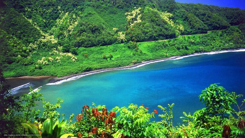 tropical bay with lush green hills