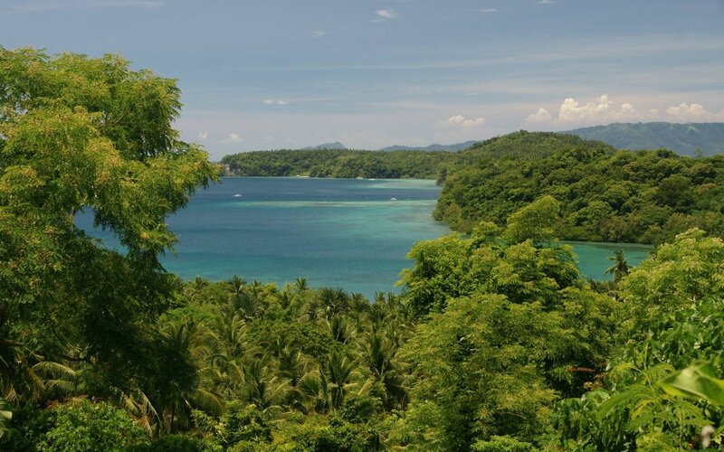 tropical bay with lush greenery