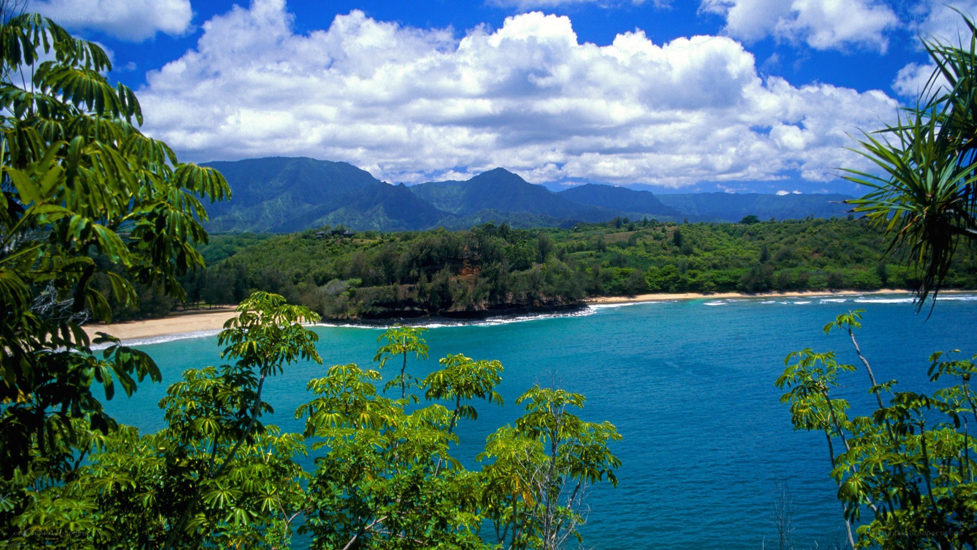 tropical bay with mountains