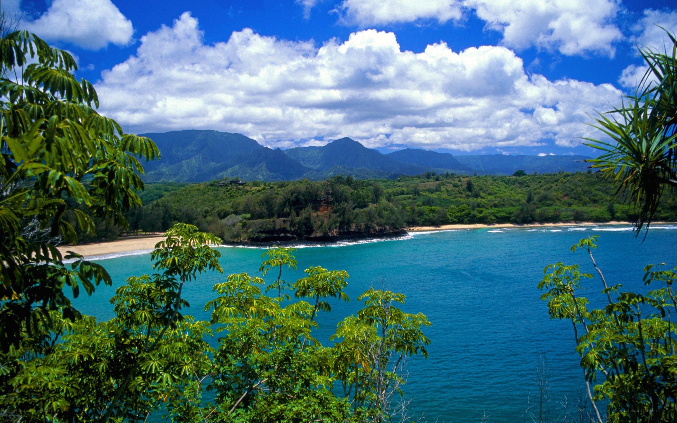 tropical bay with mountains