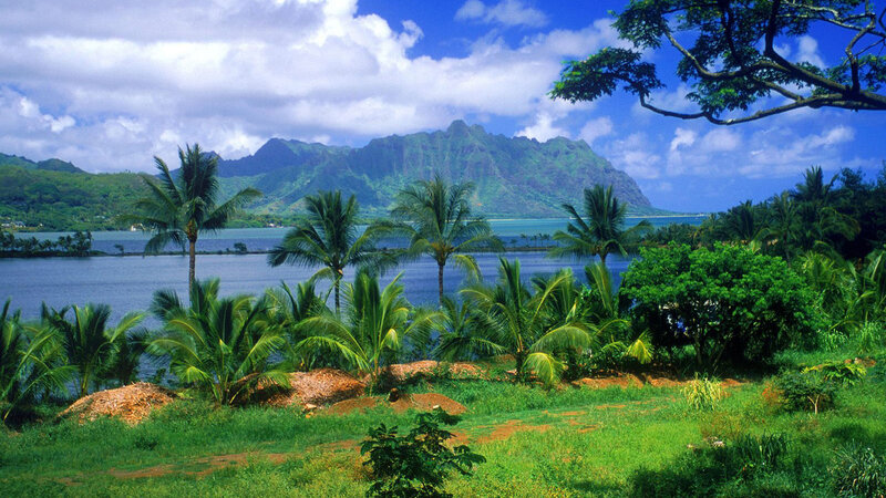 Tropical Bay with Mountains — Green, Serene