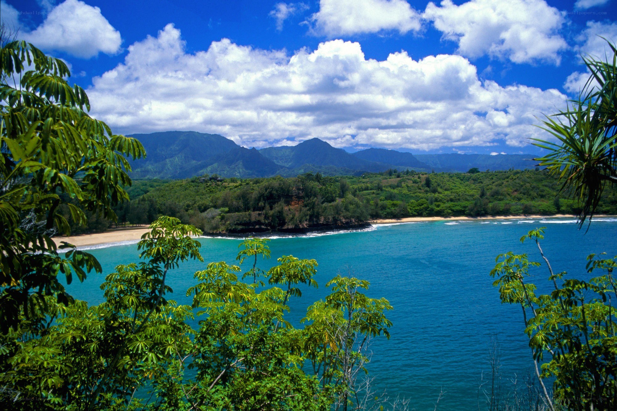 tropical bay with mountains