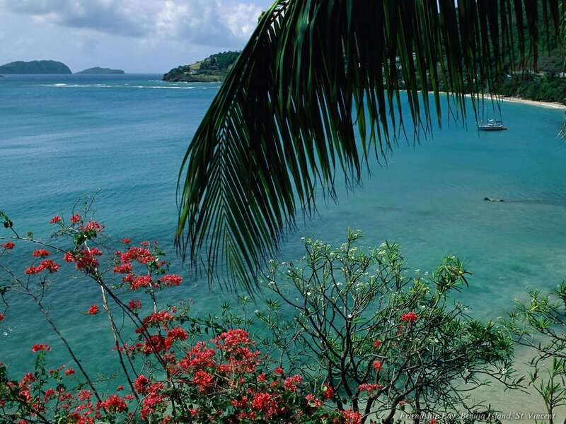 tropical bay with palm fronds