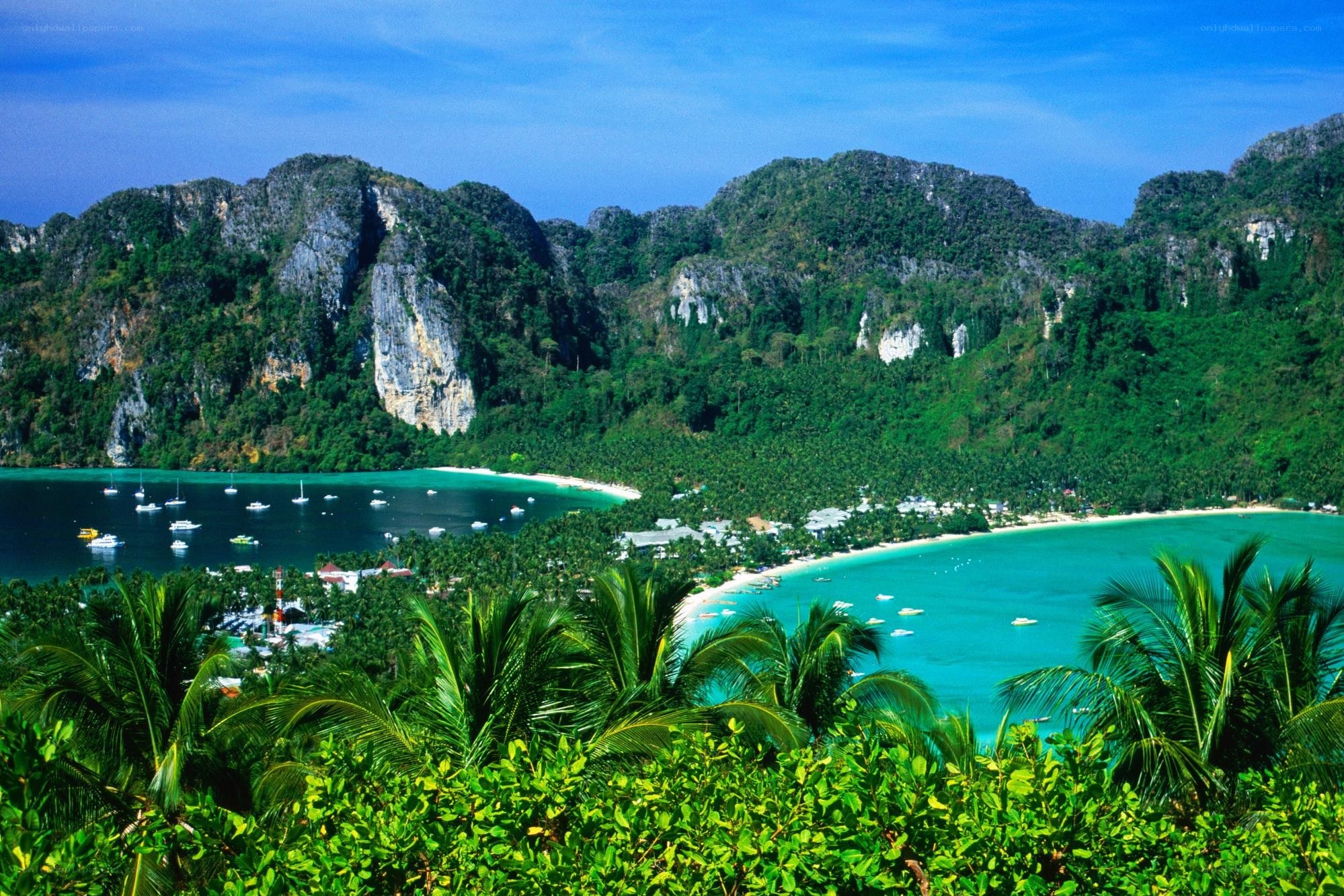tropical bay with palm trees
