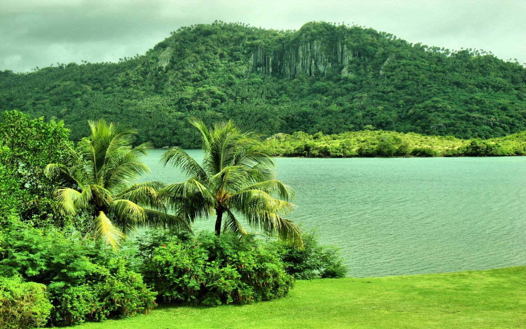tropical bay with palm trees