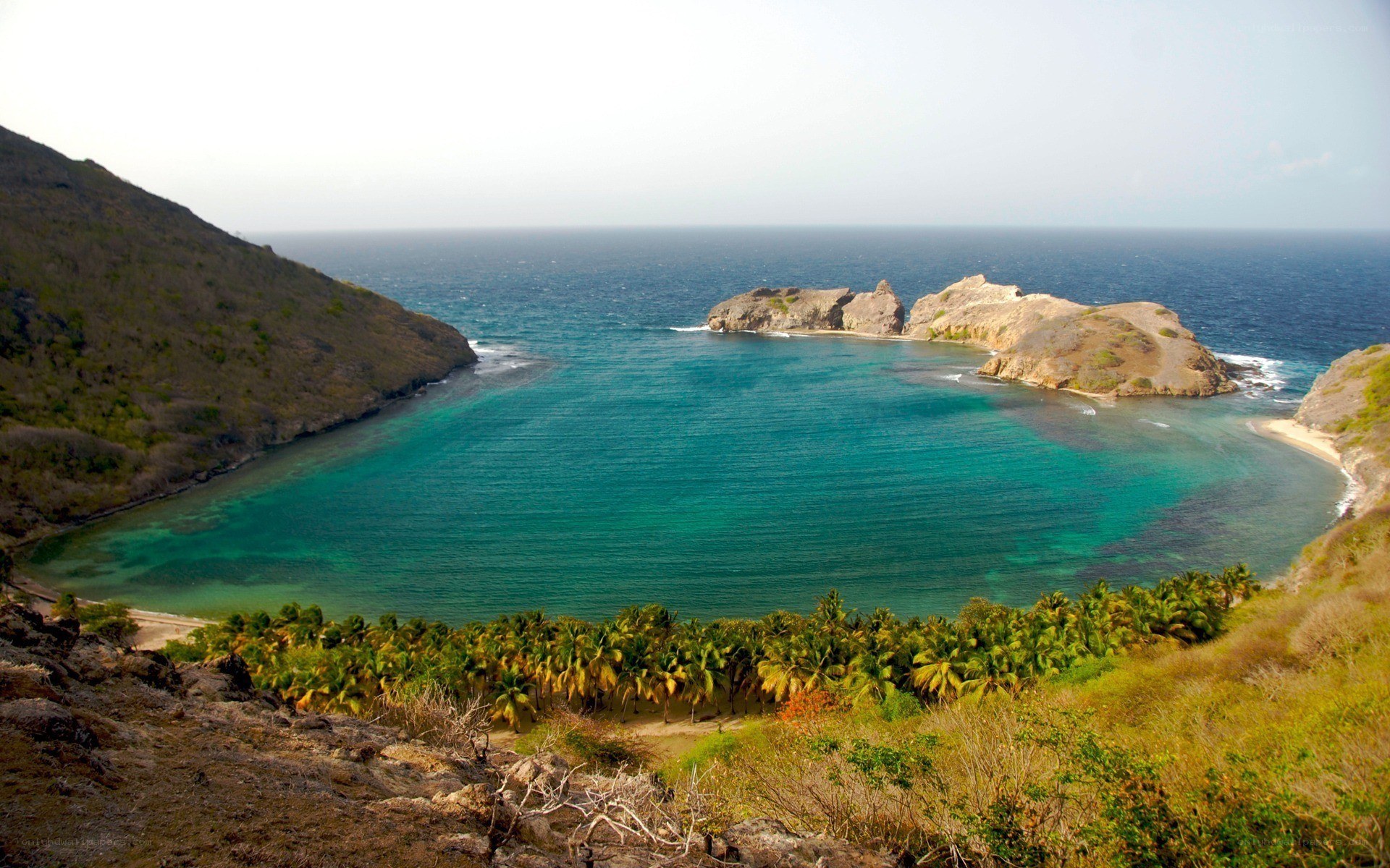 tropical bay with palm trees