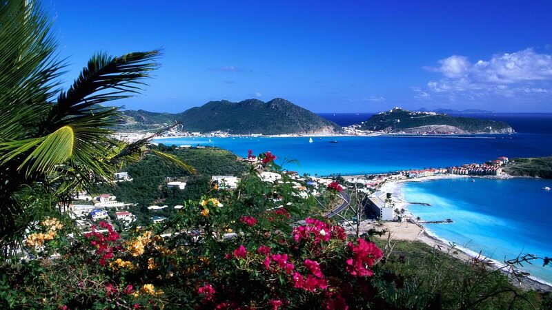 tropical bay with palm trees