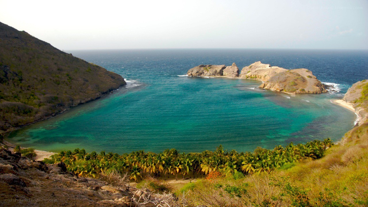 tropical bay with palm trees