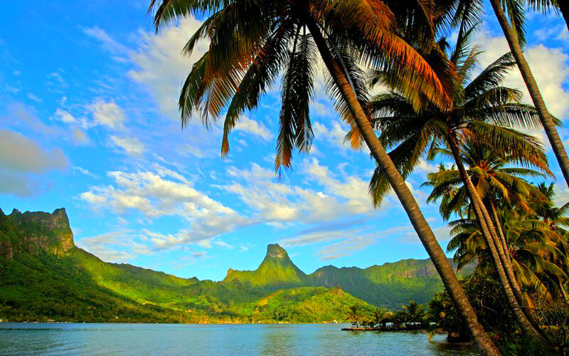 Tropical Bay with Palm Trees — Blue, Serene, Afternoon, Photograph, Palm Trees, Mountains