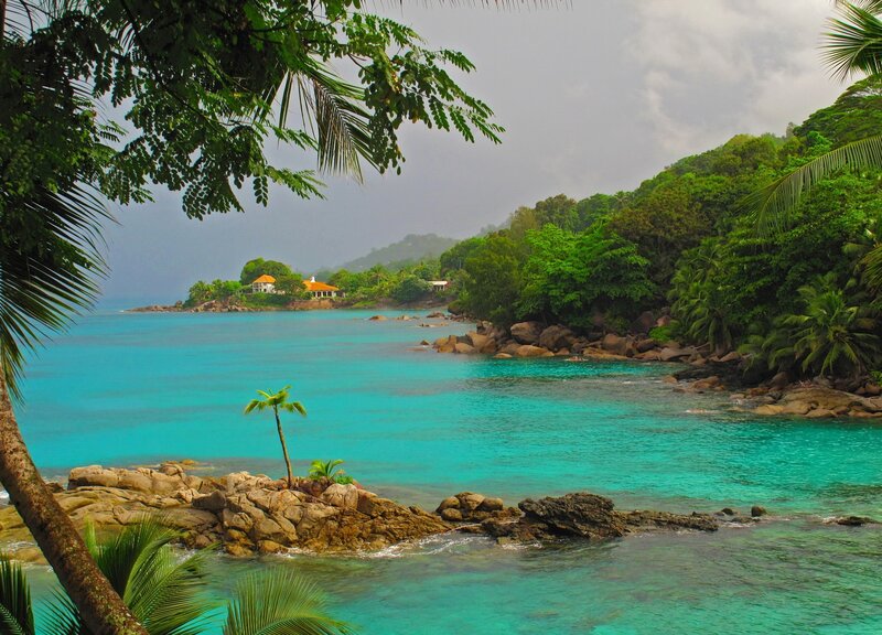 Tropical Bay with Palm Trees — Turquoise, Serene, Afternoon