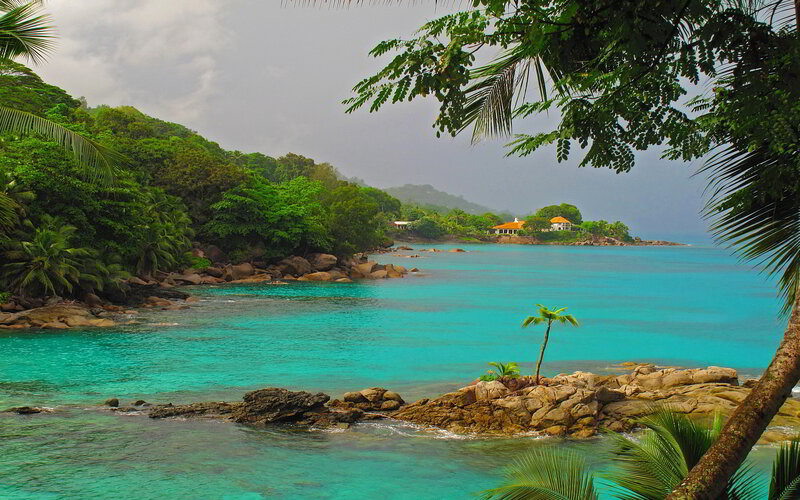 Tropical Bay with Palm Trees — Turquoise, Serene