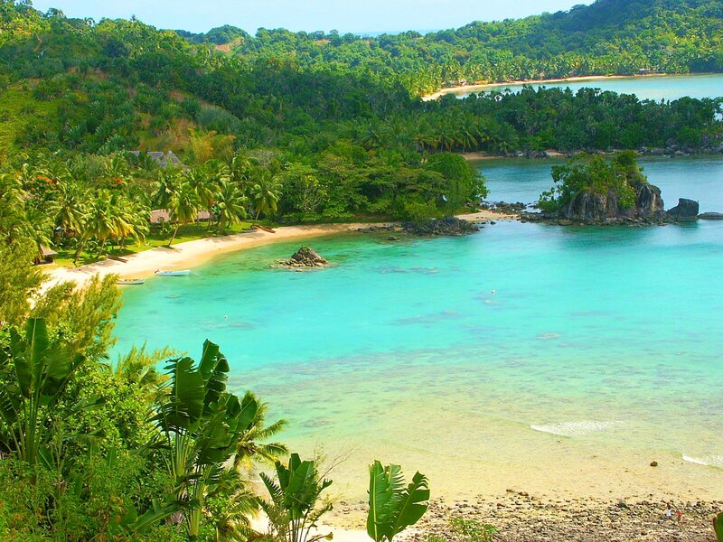 Tropical Bay with Palm Trees — Turquoise