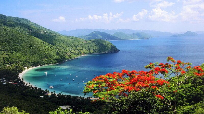 tropical bay with red flowers