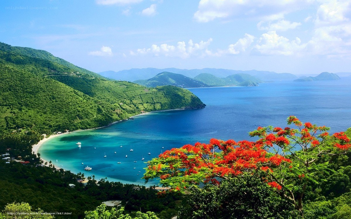 tropical bay with red flowers