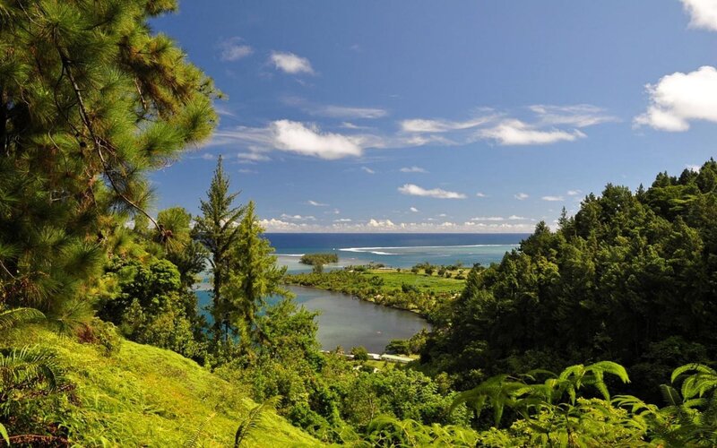 Tropical Bay with River