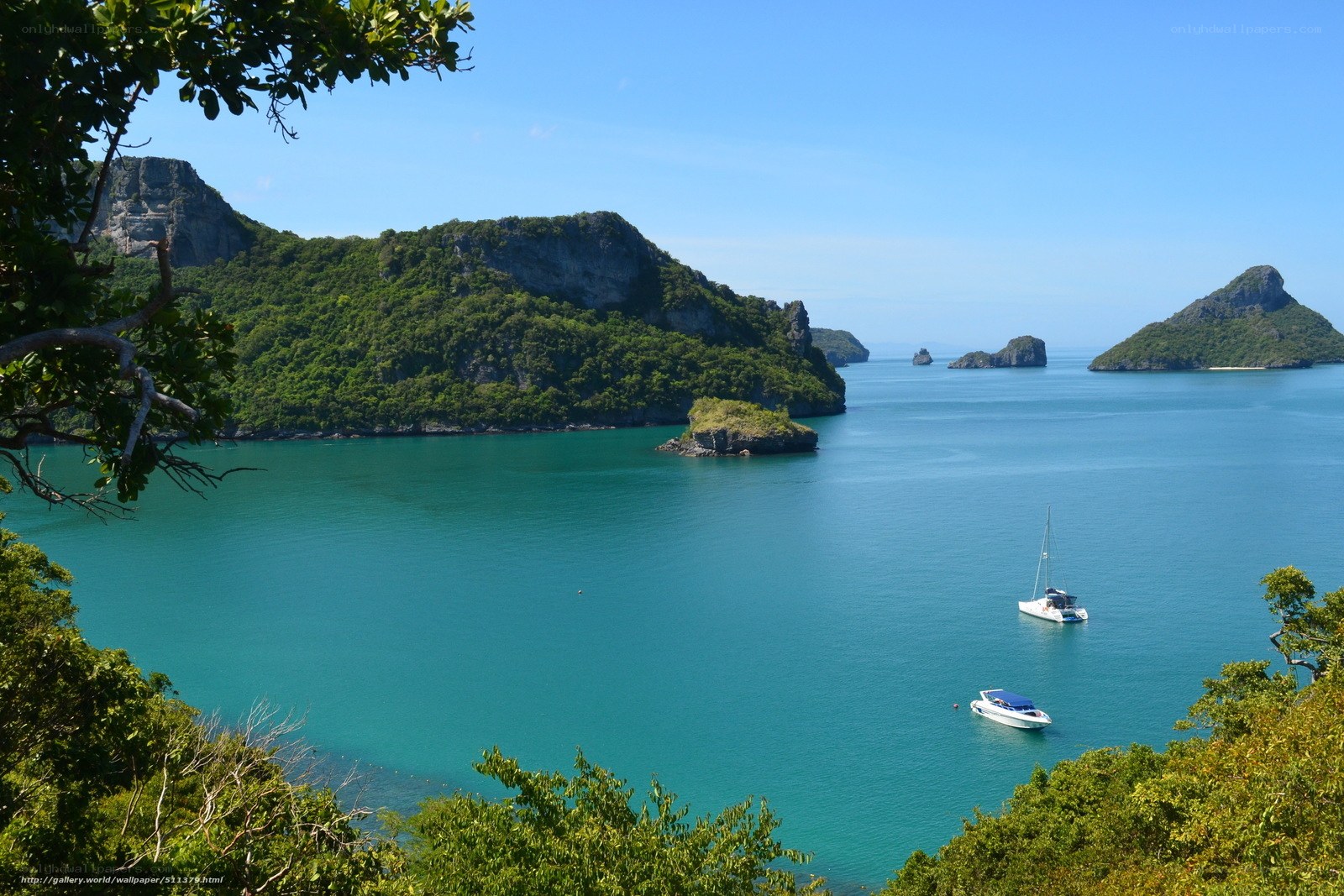 tropical bay with sailboats