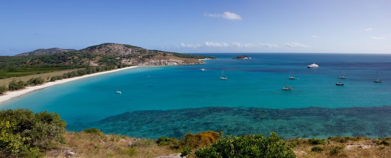 tropical bay with sailboats