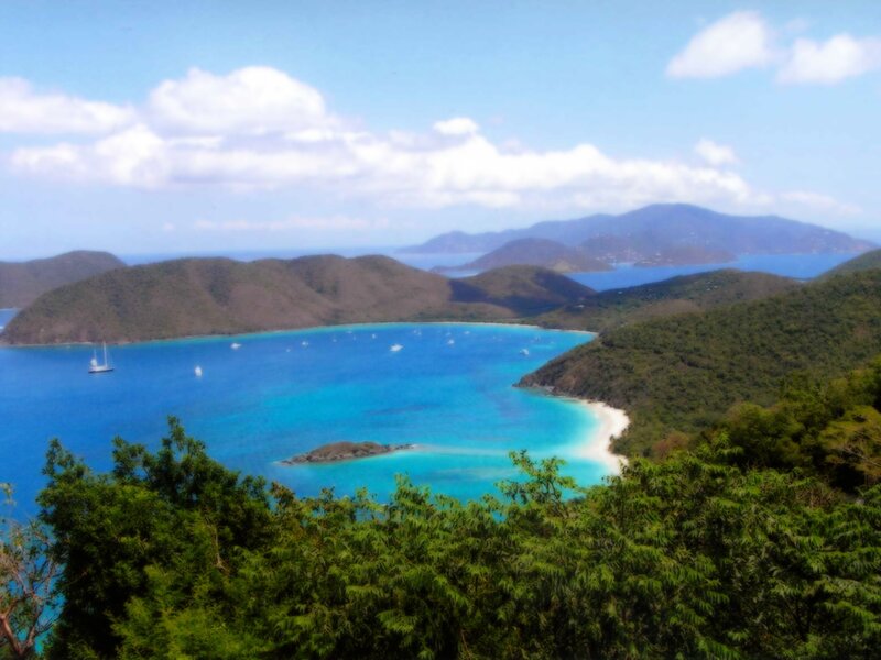 tropical bay with sailboats