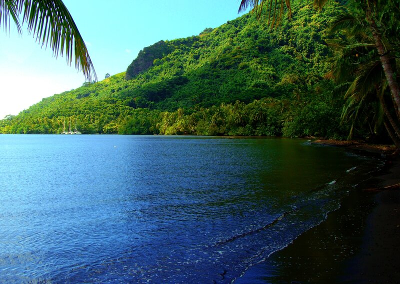 Tropical Bay with Sailboats — Blue, Serene